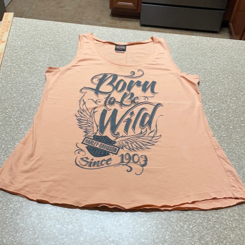 HARLEY DAVIDSON TS